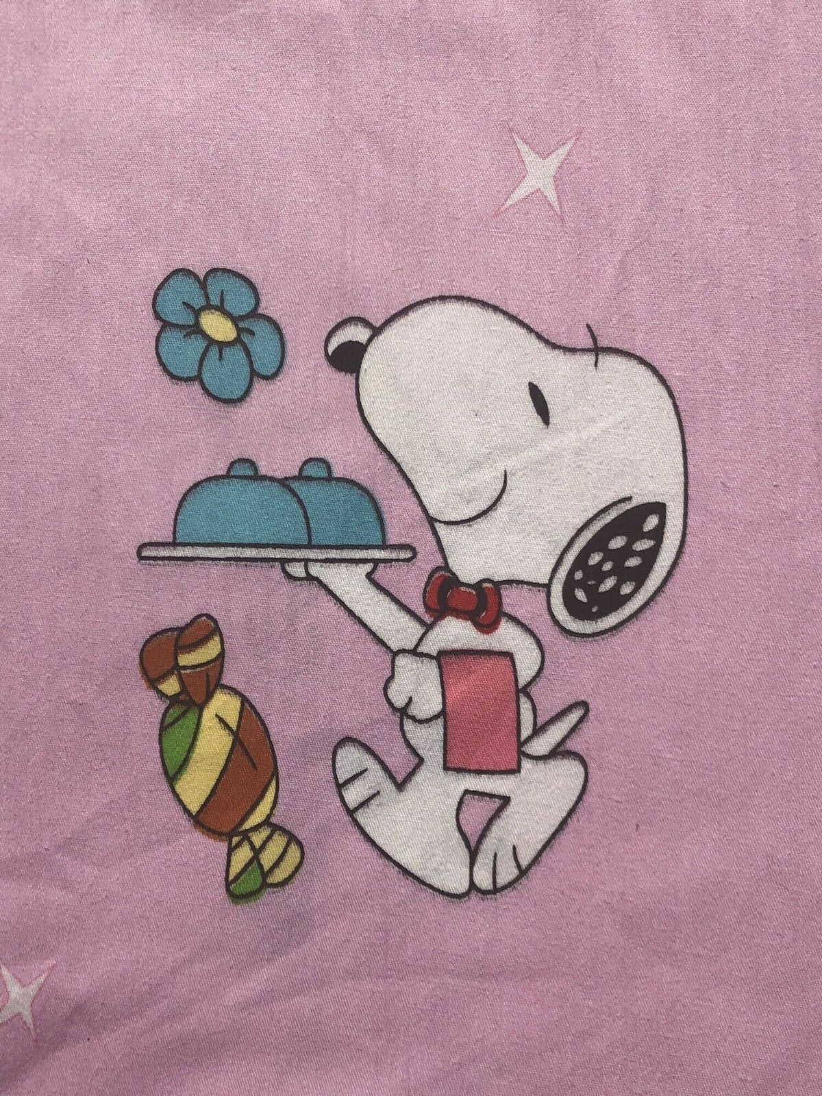 Peanuts Snoopy, Woodstock and Friends Kids Cotton Fabric